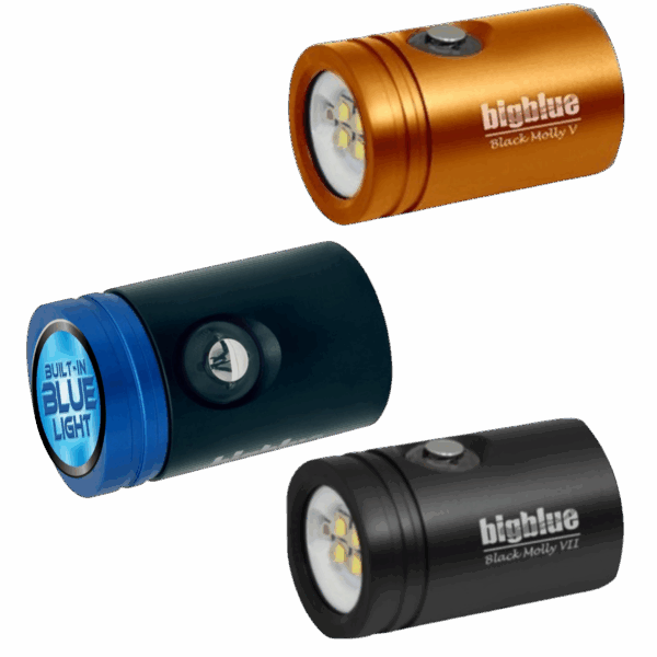 BigBlue AL2900XWP, (120°) Black Molly VII, Lampkop