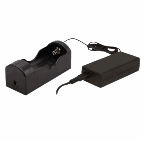Bigblue Batterijlader voor Batcell 18650x3