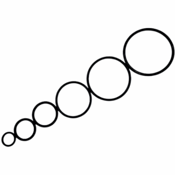 Bigblue O-Ringen